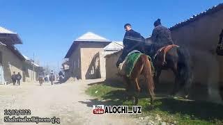 Shahrisabz tumani Bijnom Qishloq | horse makeover | equsterian | horseshow yakkabog' alochi.uz