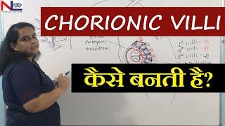 Chorionic villi in Hindi | Placenta development [Part-3] Nursing Lecture