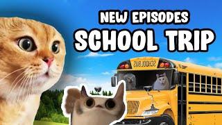 CAT MEMES: SCHOOL TRIP 2