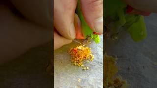 Survival Skills: Fire From a Broken Lighter in Extreme Conditions #survival #camping #lifehacks