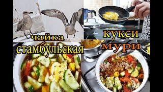 Открыли ворота для культурной чайке, приготовила кукси мури с гречкой