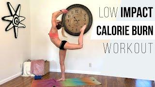 Low Impact Cardio & Strength Workout: Burn Calories & Fat, Gain Muscle