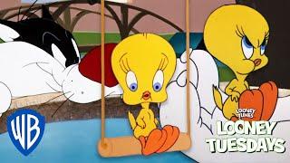 Looney Tuesdays | 15 Times Tweety Almost Got Caught By Sylvester | Looney Tunes | @WB Kids