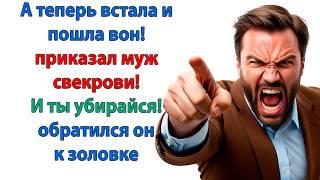 Мальчишка! Ты выгоняешь свою мать? свекровь подошла к сыну, но он лишь кивнул в сторону двери