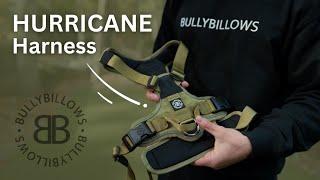 BullyBillows  *NEW* Hurricane Harness