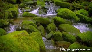 Without ads | Himalyan Mountain Stream Soothing Noise for Sleep, Focus, Studying, Meditation