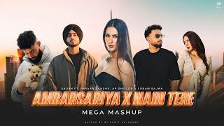 Ambarsariya X Nain Tere - Mashup | Shubh Ft. Navaan Sandhu X AP Dhillon | DJ Sumit Rajwanshi