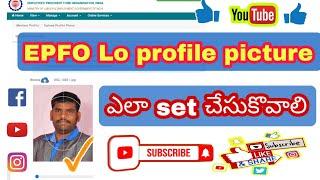 how to update EPFO profile photo | pf new update | update photo in pf | set photo on uan | epfo uan