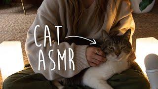 [ASMR] Cozy Cat Snuggles  REAL PURRING 