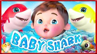 Baby Shark Remix  dance | Baby Shark Doo Doo Doo Dance #babyshark #nurseryrhymes #cocomelon  #shorts