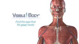 Visible Body's 3D Anatomy Suite | Choose the app that best fits your needs!