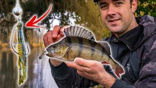 Fishing For PERCH - Jigs, Lures, Soft Plastics & Creature Baits!