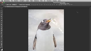 4-2  Ridimensionare le foto con Photoshop