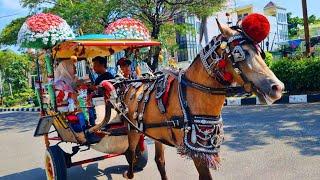 NAIK KUDA DELMAN ONDEL ONDEL BADUT JOGET ASIK - LAGU POK AME AME - KALAU KAU SUKA HATI - CACA MARICA