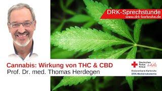  CANNABIS - Wirkung von THC & CBD I Prof. Dr. Thomas Herdegen I Moderator: Prof. Dr. B.-D. Gonska