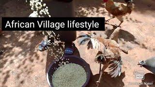 African Village Lifestyle// Preparing maize for grinding in my African village