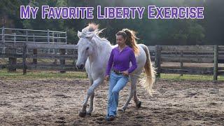 My Favorite Liberty Exercise! - Starting Liberty w/your Horse