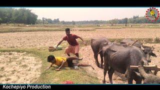 Akhirinj nahel // New santali comedy video 2024 / #funnyvideo / #viralvideo // Kochepiyo Production