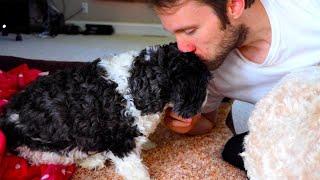 McJuggerNuggets' Dog Tore Her ACL!