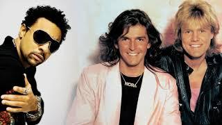 Modern Talking vs Shaggy - Brother Boombastic (Paolo Monti Mashup)