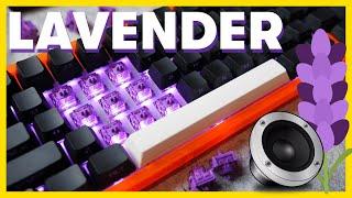 Akko CS LAVENDER PURPLE Sound Test & Review