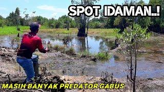 TIDAK SIA SIA..!! MEMASUKI TEMPAT MANCING IKAN GABUS DI PEDALAMAN HUTAN RAWA RIAU