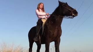 Girl Horse Riding - LIVE - Riding Lovers - HD