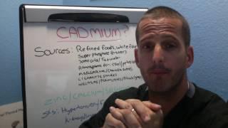 Adrenal Fatigue and Cadmium Toxicity