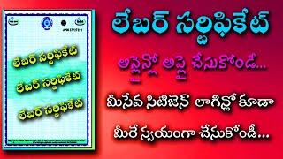 How to Apply Labour Certificate Online in Telugu 2022 || Labour certificate check status