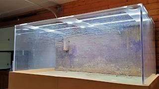 We Moved My 800-Gallon Aquarium - Fish Room Update Ep. 141