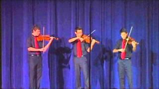 Snow (Hey Oh) - Violin Trio - Red Hot Chili Peppers