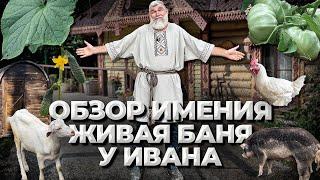 КАК мы живём в деревне. Новые БАНИ, тёплые ГРЯДКИ, мои ОШИБКИ в вегетарии, как я ПОДВЯЗЫВАЮ огурцы.