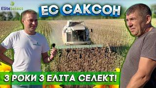 Три роки з Еліта Селект. ЕС Саксон. З року в рік показує чудовий результат !!!