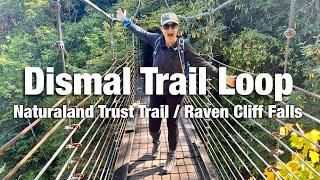 Dismal Trail Highlights - Caesars Head State Park - What To Bring For This Hike!