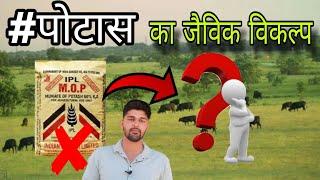 लाल पोटाश MOP का जैविक विकल्प । पोटाश का प्राकृतिक स्त्रोत