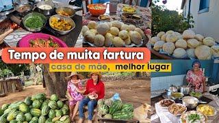 As farturas da fazenda do sr Antônio | café da manhã | almoço e jantar + colheita na roça