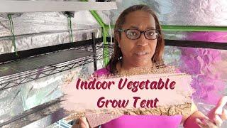 Indoor Vegetable Grow Tent Setup