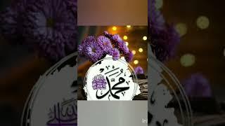 ya Mohammed Mohammed main kahta rha#islamicmusic #viralvideo #10kviews Target #subscribe .....️