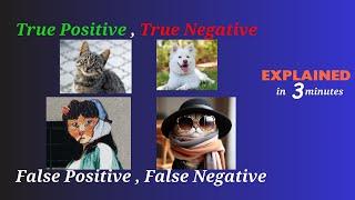 True positive True negative False positive False negative explained