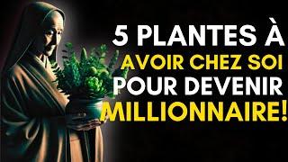 5 Plantes Puissantes qui Attireront Instantanément la Richesse dans Votre Vie! Abondance d'Argent!