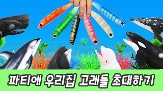 한국어ㅣ즐거운 파티에 우리집 고래들 초대하기! 색깔공부, 고래 이름 외우기, 컬렉타ㅣ꼬꼬스토이