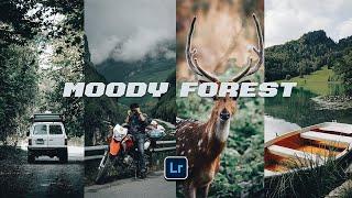 Lightroom Presets Mobile Free DNG Download | Moody Forest Preset | Dark Forest Presets