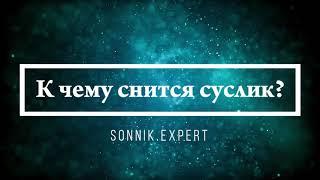 К чему снится суслик - Онлайн Сонник Эксперт