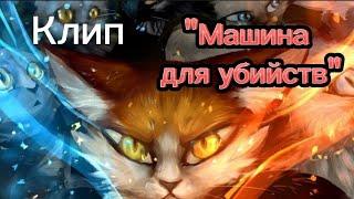 Коты-воители/Кленовница/Клип:"Я машина для убийств"/Алёна Швец