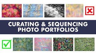 Curating and Sequencing Nature Photography Portfolios (Including MANY examples!)