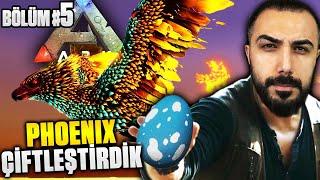 PHOENIX'LERİ ÇİFTLEŞTİRDİK!! (Bölüm #5) | EKİPLE ARK SURVIVAL EVOLVED | Barış Can