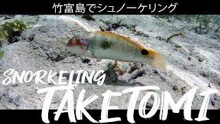 Snorkeling in Taketomi Okinawa, Japan Part 2 ( Snorkeling  Video )