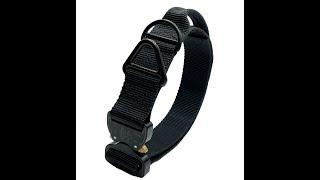 Cobra Dog Collar by Miles Tactical with 4,000lb Rated Buckle