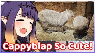 Ina was Super Excited when Visiting Her Favorite Animal in Japan! (Hololive)