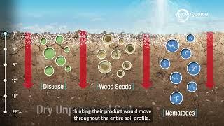 Importance of Precision Placement with Sectagon® Soil Fumigant